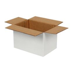 15x10x10 cm Einfacher Weißer Wellpappkarton