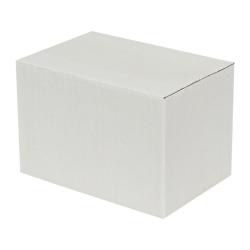 15x10x10 cm Einfacher Weißer Wellpappkarton