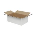 20x15x10 cm Einzelkarton Aus Wellpappe Weiß