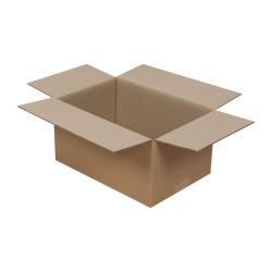 30x20x15 cm Doppelt Gewellte Ekoliner-Box