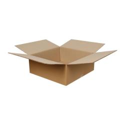 30x30x10 cm Doppelt Gewellte Ekoliner-Box