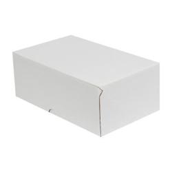 20x15x9 cm Weißer E-Commerce Versandkarton (4 Punkte)