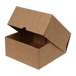24,5x24,5x24,5x11,5 cm Kraft E-Commerce Versandkarton (4 Punkte)