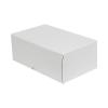 25x16x10 cm Weißer E-Commerce Versandkarton (4 Punkte)