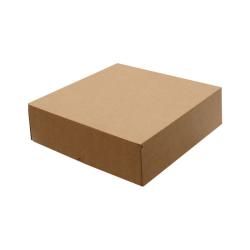 40x40x12 cm E-Commerce Versandkarton - 4 Punkte - Kraft