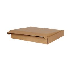 77x54x8 cm Doppelt Gewellte Ziplock-Box Kraft