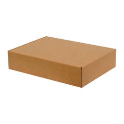 30x20x5 cm Kraftkarton-Box Mit Schloss