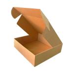 35x22x12 cm Kraftkarton-Box Mit Schloss
