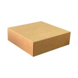 35x22x12 cm Kraftkarton-Box Mit Schloss