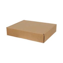 39x22x8 cm Box Kraft Doppelt Gewelltes Ziplock