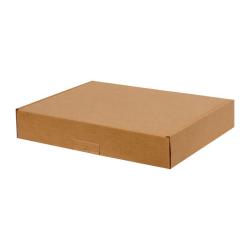 43,5x30,5x13,5 cm A3 Box Doppelt Gewellt