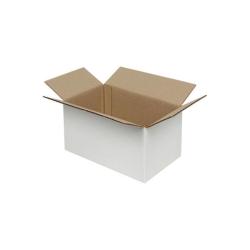 10x6x5 cm Paket Weißer Karton Einzeln Wellpappe